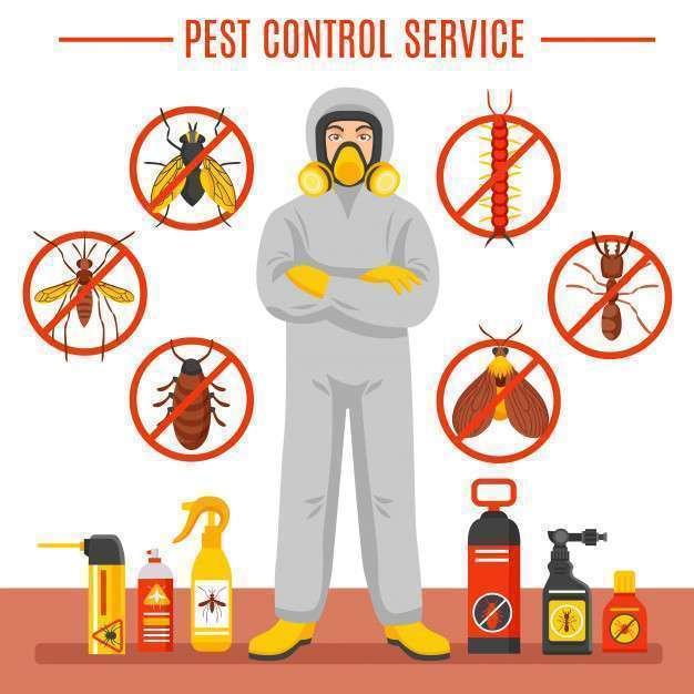 Choosing the Right Pest Control Service‌ in ⁤Fort ‌Myers