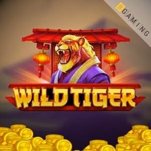 NineWin Casino Login – Unlock Exclusive Bonuses, Big Wins & Real Money Online Casino Action Today